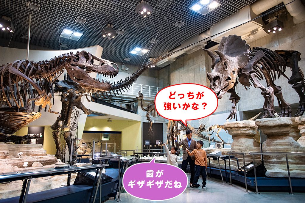 ティラノVSトリケラ/国立科学博物館(東京都/台東区)