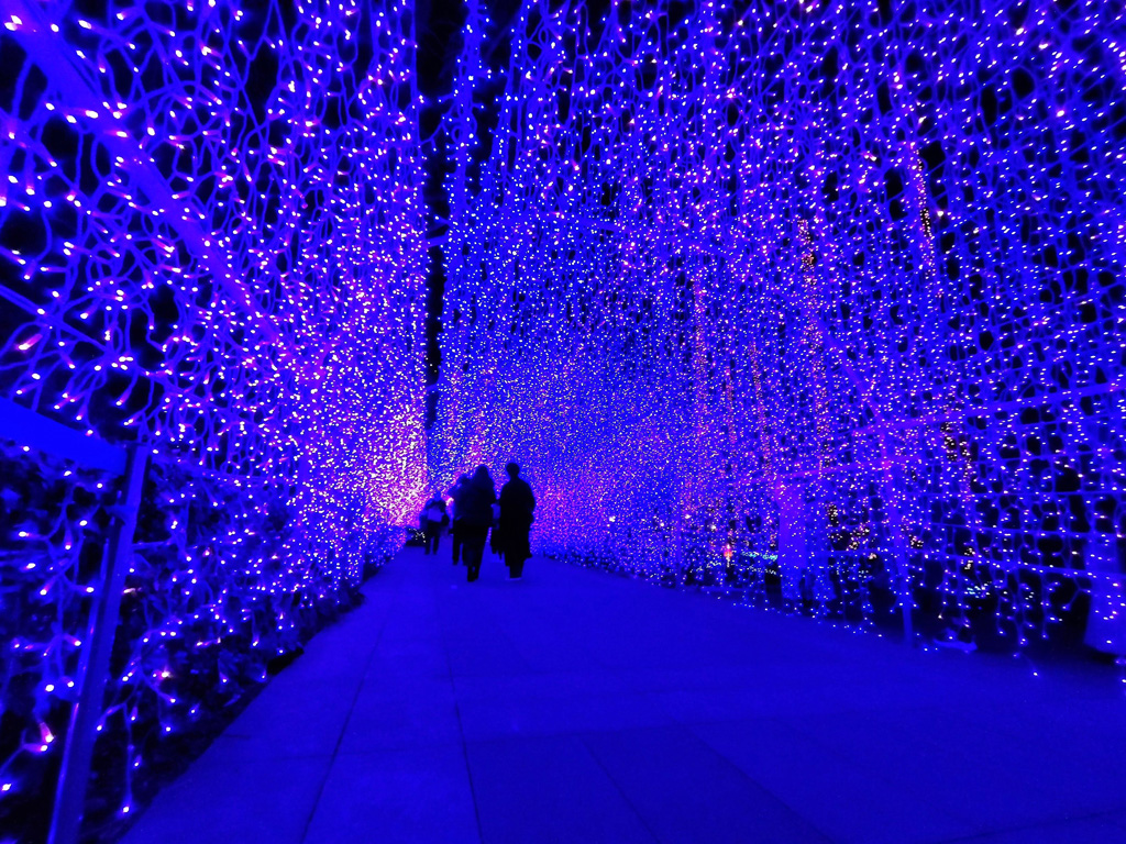 真っ青な光に包まれる幻想世界が広がる/江の島シーキャンドル(神奈川県/藤沢市)