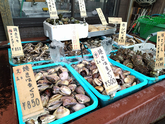 江ノ島の店舗で販売されている貝類(神奈川県/藤沢市)