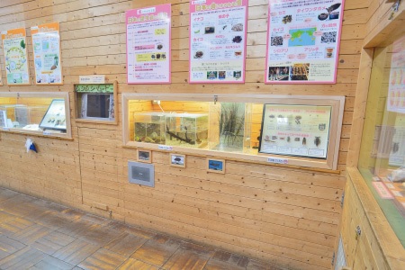 むしむしコーナー/足立区生物園(東京都)