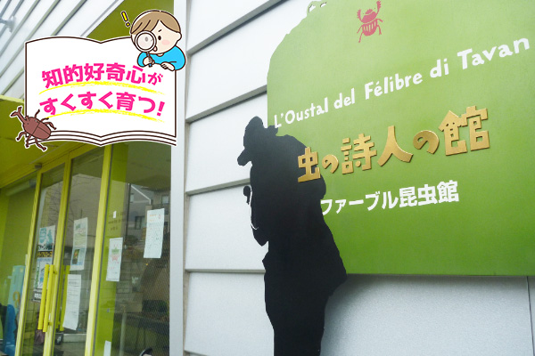 ファーブル昆虫館(東京都/文京区)