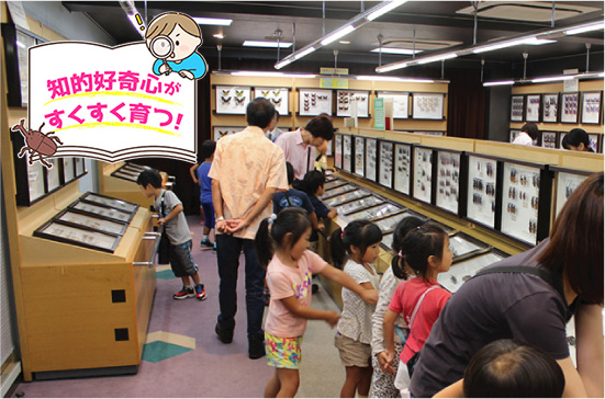蝶のひろば 株式会社サガミ(神奈川県/横須賀市)
