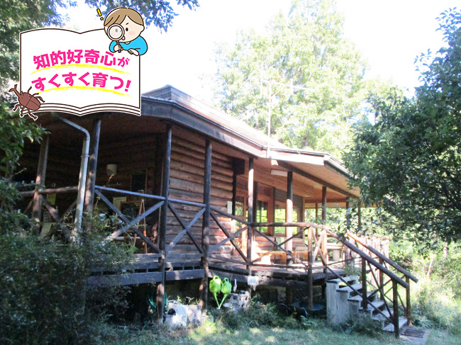 /オオムラサキの森活動センター(埼玉県/嵐山町)