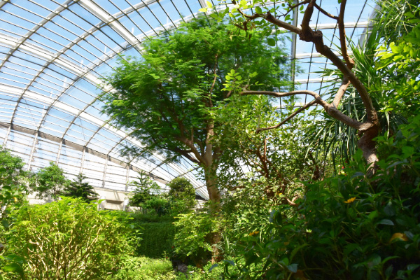 多摩動物公園昆虫館(東京都)