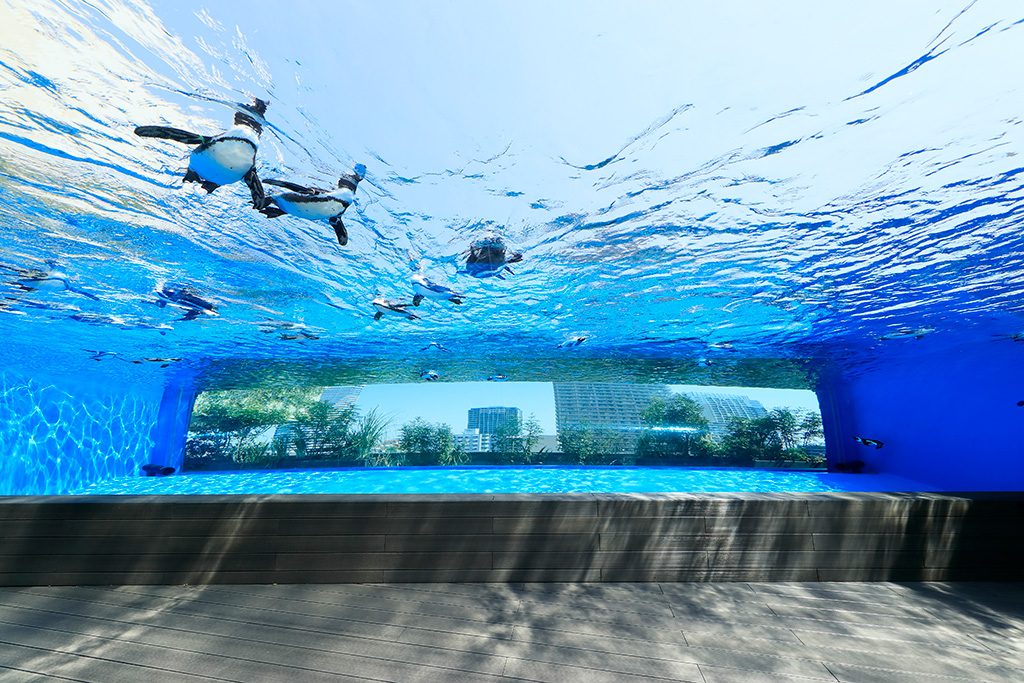 サンシャイン水族館(津京都)