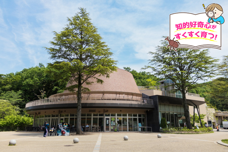 かわさき宙と緑の科学館(神奈川県/川崎市)