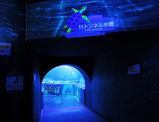 トンネル水槽/しながわ水族館(東京都/品川区)