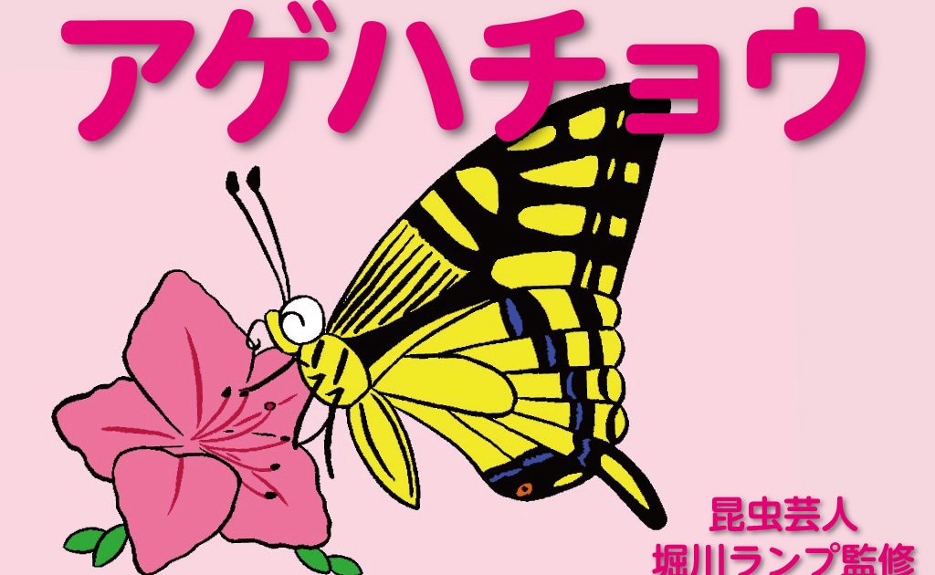 アゲハチョウの幼虫 蛹 羽化を観察 種類や時期 捕まえ方や育て方も解説 るるぶkids