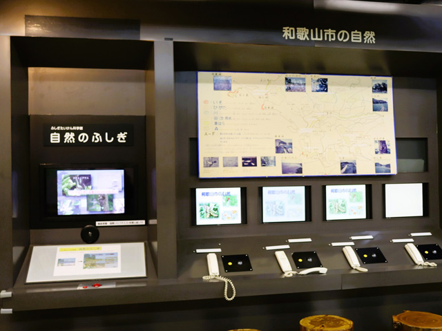 1階の奥にあるコーナー「郷土の自然」/和歌山市立こども科学館