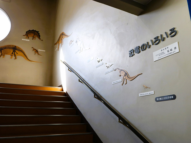 1階から2階への階段の壁にも恐竜の展示物/和歌山市立こども科学館