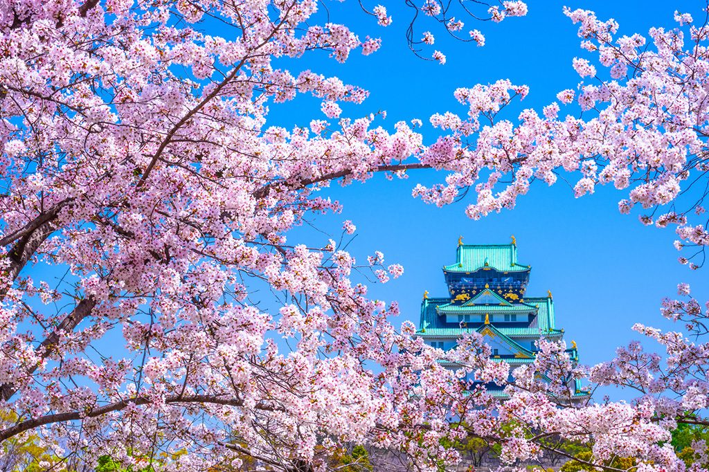 京都 大阪 神戸 子連れ家族旅行のおすすめホテル 4月の人気ランキングtop10 るるぶkids