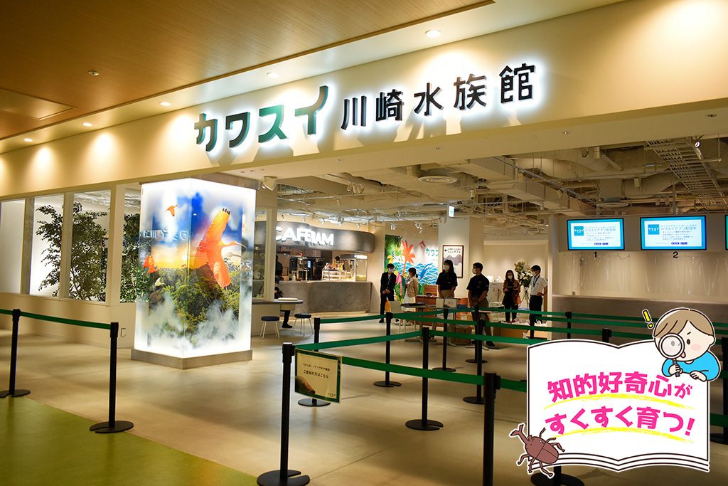 カワスイ 川崎水族館(神奈川県/川崎市)