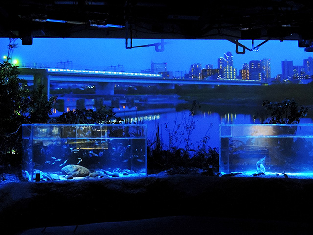 夜の「多摩川ゾーン」/カワスイ 川崎水族館(神奈川県/川崎市)