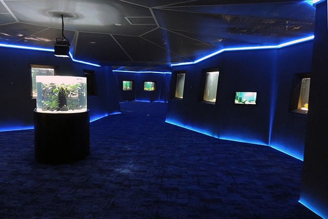 「オセアニア・アジアゾーン」/カワスイ 川崎水族館(神奈川県/川崎市)