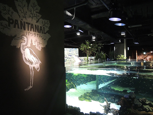 「パンタナルエリア」/カワスイ 川崎水族館(神奈川県/川崎市)