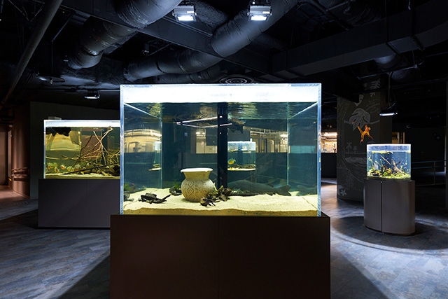 「アクア・ラボ エリア」/カワスイ 川崎水族館(神奈川県/川崎市)