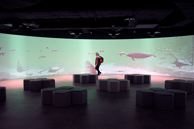 「パノラマスクリーンゾーン」/カワスイ 川崎水族館(神奈川県/川崎市)