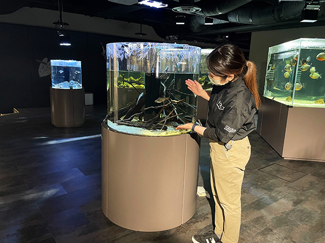 エリアガイドツアーの様子/カワスイ 川崎水族館(神奈川県/川崎市)