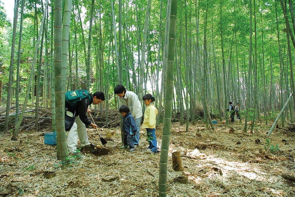 たけのこ堀りの様子/「芝山観光竹の子園」(千葉県/芝山町)