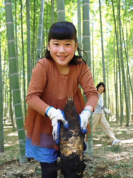 たけのこ堀りの様子/「若竹の杜 若山農場」(栃木県/宇都宮市)