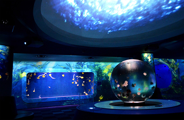 クラゲファンタジーホール/新江ノ島水族館(神奈川県/藤沢市)