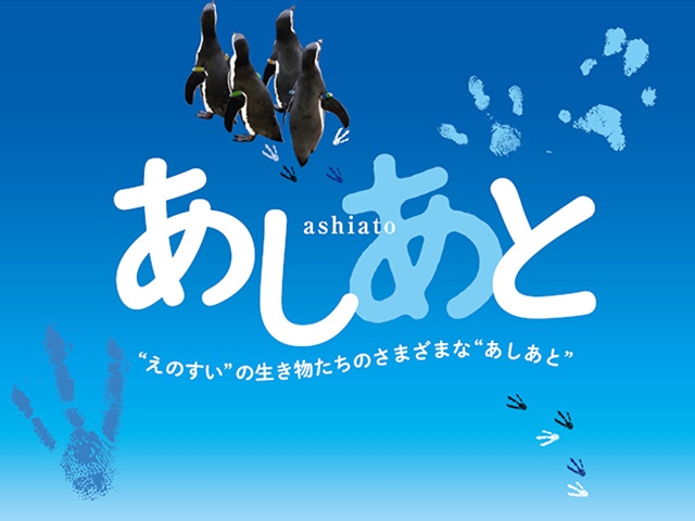 特別イベント「あしあと」のイメージビジュアル/新江ノ島水族館(神奈川県/藤沢市)
