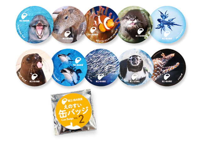 えのすいランダム缶バッジVol.2/新江ノ島水族館(神奈川県/藤沢市)
