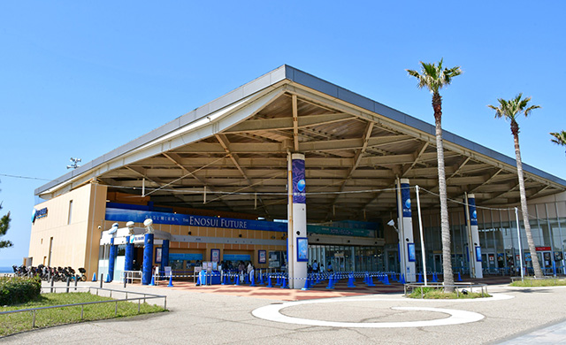 新江ノ島水族館(神奈川県/藤沢市)