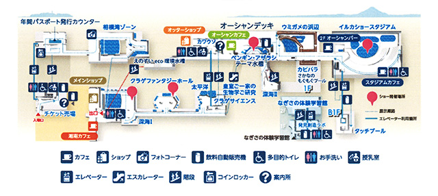 館内マップ/新江ノ島水族館(神奈川県/藤沢市)