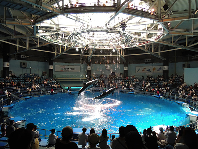 「ザ スタジアム」/マクセル アクアパーク品川(東京都/港区)