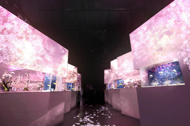 零れ桜/NAKED SAKURA AQUARIUM/マクセル アクアパーク品川(東京都/港区)
