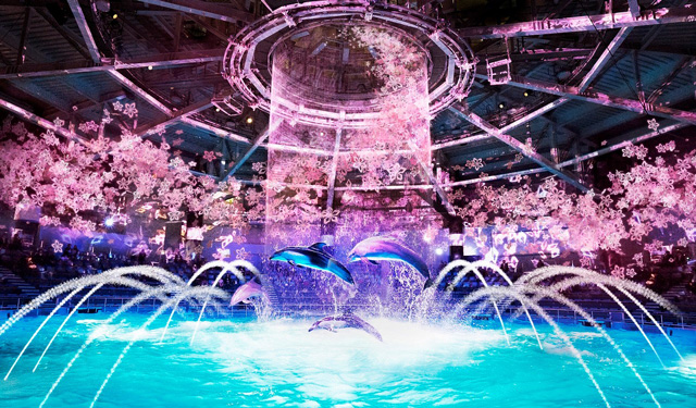 ナイトVer.「桜語り(さくらがたり)」/NAKED SAKURA AQUARIUM/マクセル アクアパーク品川(東京都/港区)