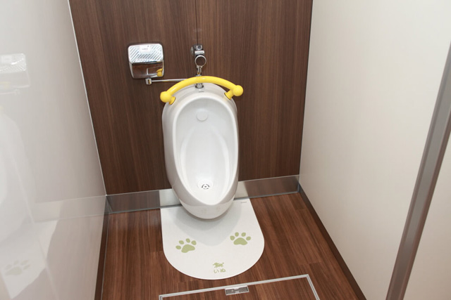 地下1階の女子トイレには男児用小便器もあります/大阪市立科学館(大阪府)