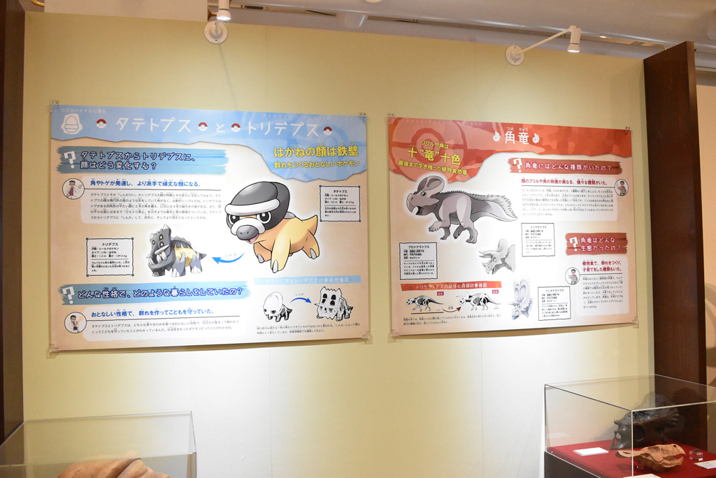 企画展示室内の展示/国立科学博物館(東京都/台東区)