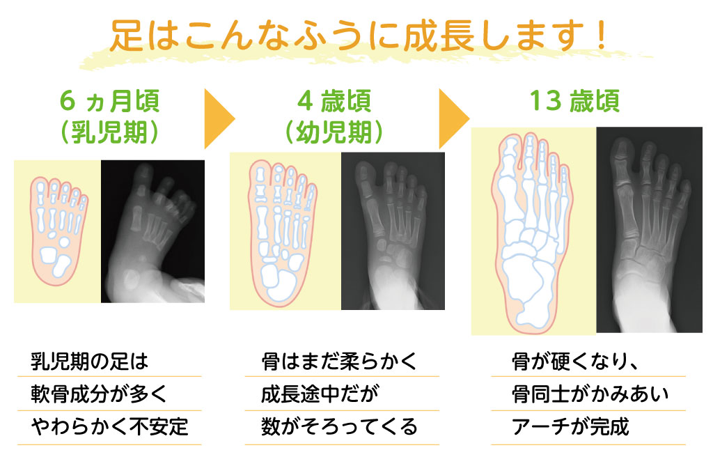 足はこんなふうに成長します!