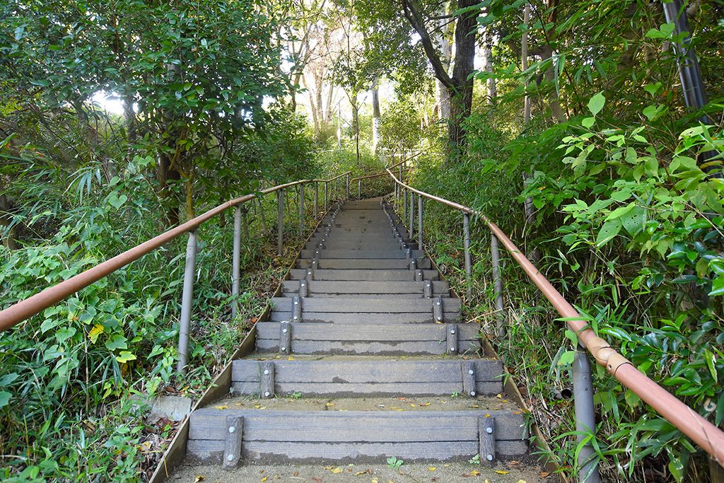 川崎市立日本民家園(神奈川県)