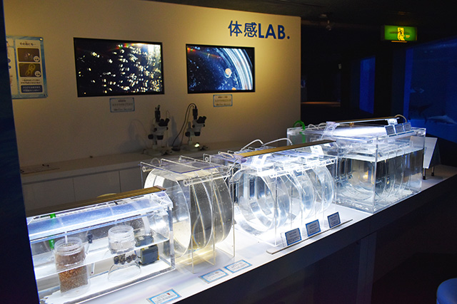 「体感LAB.」/横浜・八景島シーパラダイス(神奈川県/横浜市)