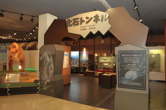 化石トンネルの入り口/京都市青少年科学センター(京都府)