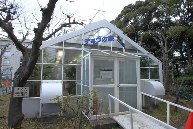 最大15名までの入室できる「チョウの家」/京都市青少年科学センター(京都府)