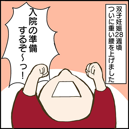 私が双子を妊娠するなんて!〜漫画でレポート 驚きだらけの双子妊娠〜 その18-1