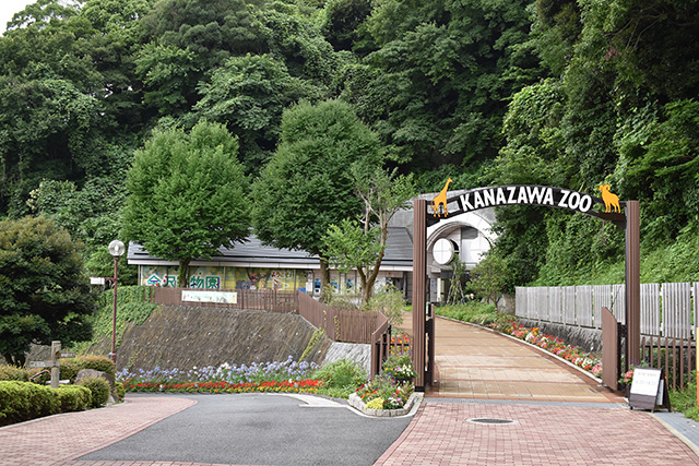 動物園の入口/横浜市立金沢動物園(神奈川県/横浜市)