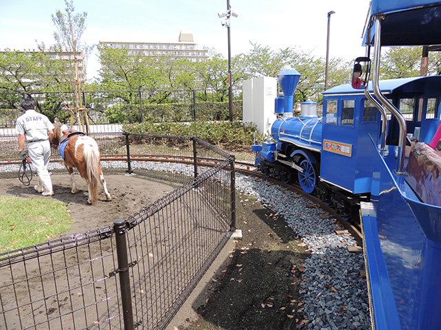 ポニーが歩いている横を「豆汽車」が追いかける/あらかわ遊園(東京都/荒川区)