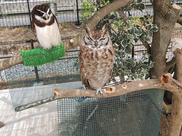 一緒に記念撮影ができるフォトスポット/あらかわ遊園(東京都/荒川区)