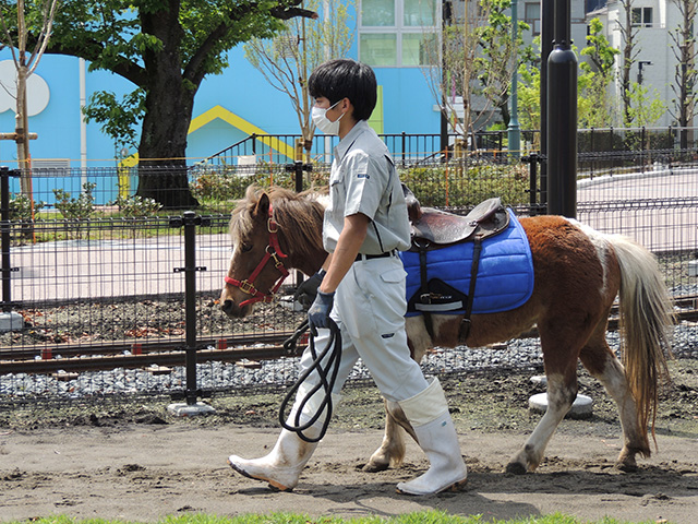 子ども限定でポニーに乗ることができる/あらかわ遊園(東京都/荒川区)