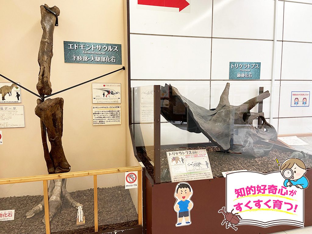 板橋区立教育科学館(東京都)