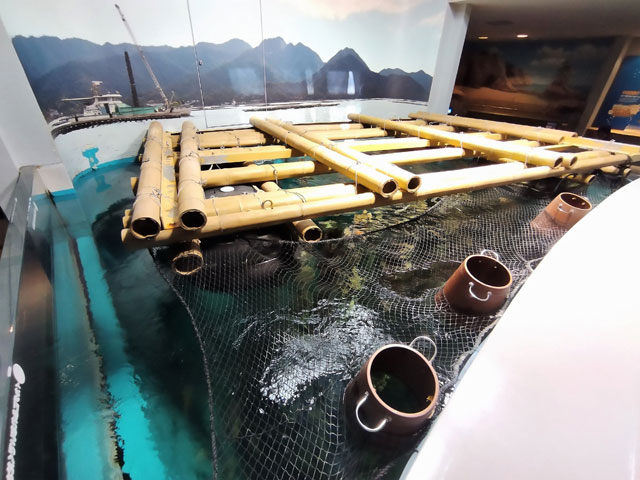 広島名産のカキの養殖風景を再現/宮島水族館(広島県/廿日市)