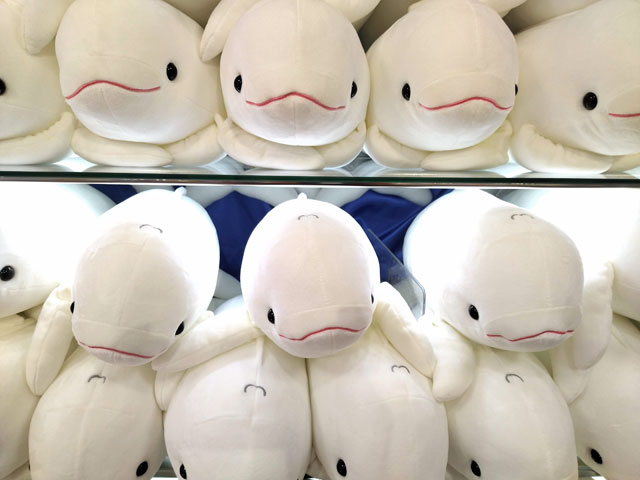 飼育員が監修したかわいいぬいぐるみ/宮島水族館(広島県/廿日市)