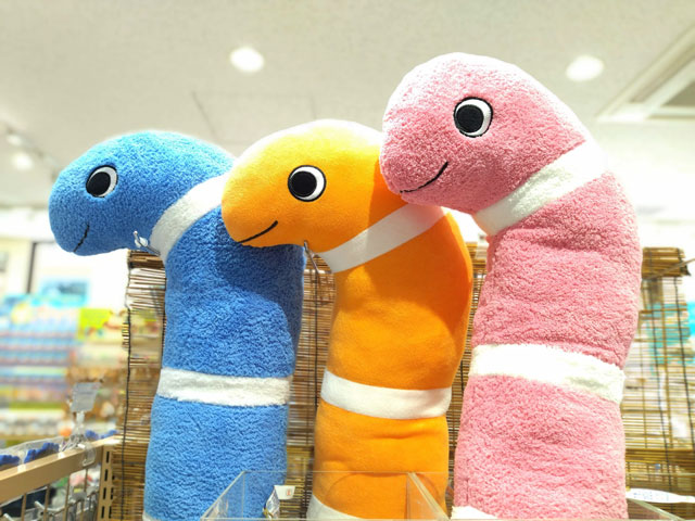 ニシキアナゴの「抱き枕」/宮島水族館(広島県/廿日市)