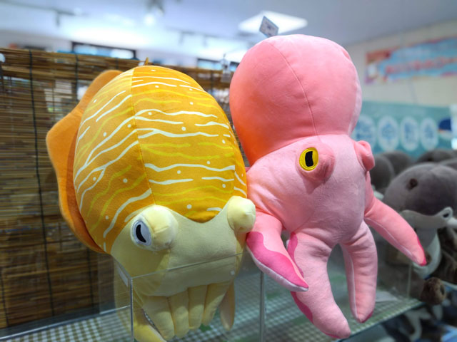 イカとタコの「ふわふわぬいぐるみ」/宮島水族館(広島県/廿日市)