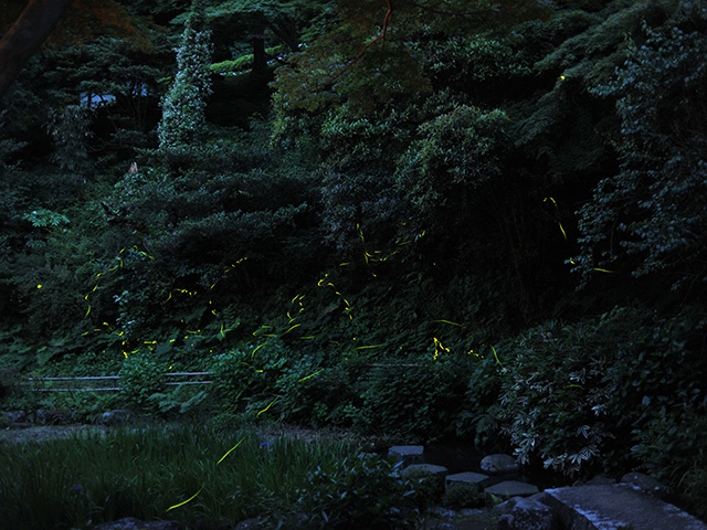 丸山公園